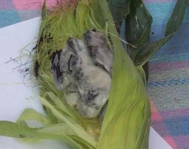 欧美评的8种恶心食物,有一种在中国是八珍之一,营养还没鸡蛋高