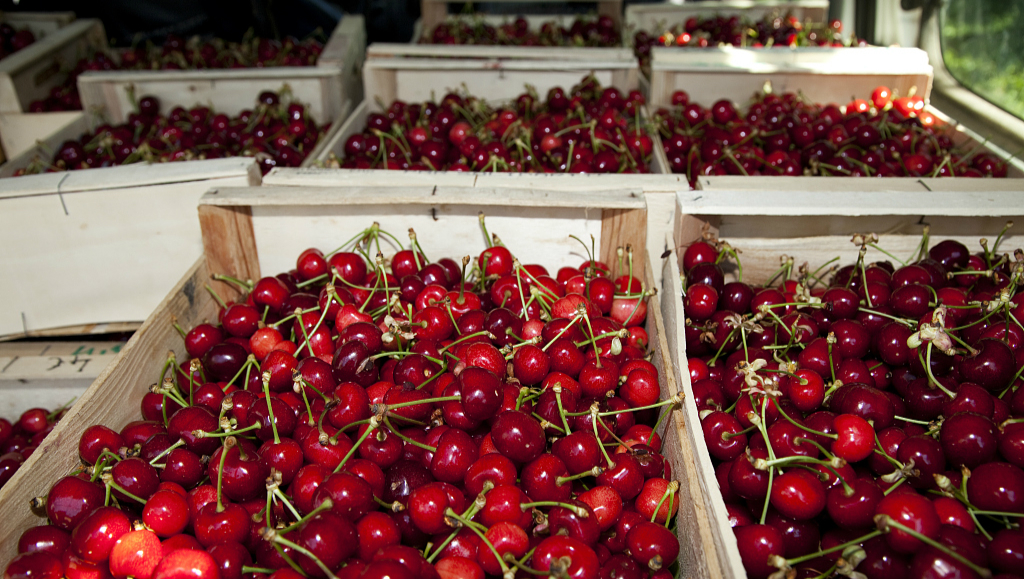 四线城市车厘子“泛滥”的背后