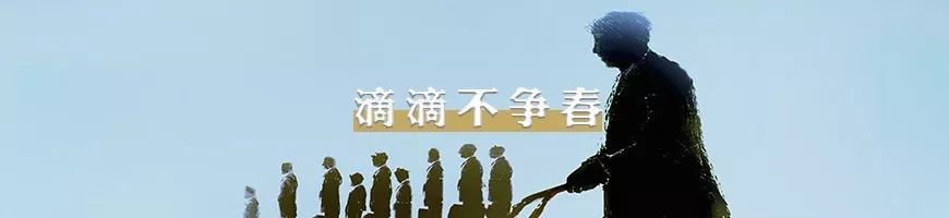 不收藏可惜的5个优质公号，快来领走吧