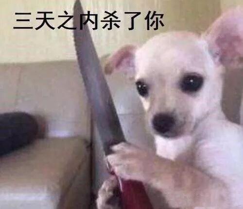被嫌弃烂大街的小白鞋，这7双美的刷新三观，最便宜的只要40块！