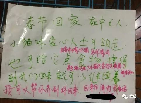 心痛!《中国特色四大养猫悲剧》让我们一起终结吧!