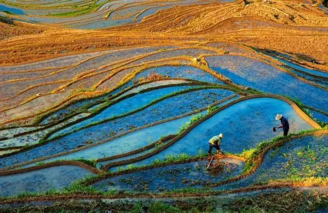 浙江排名前十的“好空气”旅游目的地，有你附近的吗？