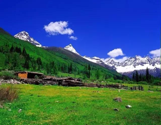 不用去瑞士,成都也要有山地火车了,直达四姑娘山!