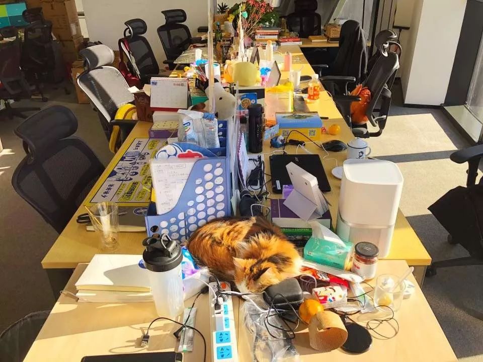 新媒体运营究竟适不适合你？一测便知！｜唠氪儿