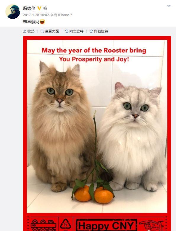 舒淇,冯德伦从来不说爱你,为什么要嫁给他!