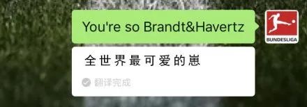 微信翻译在线帮你撩人，谁试都说好 | 唠氪儿
