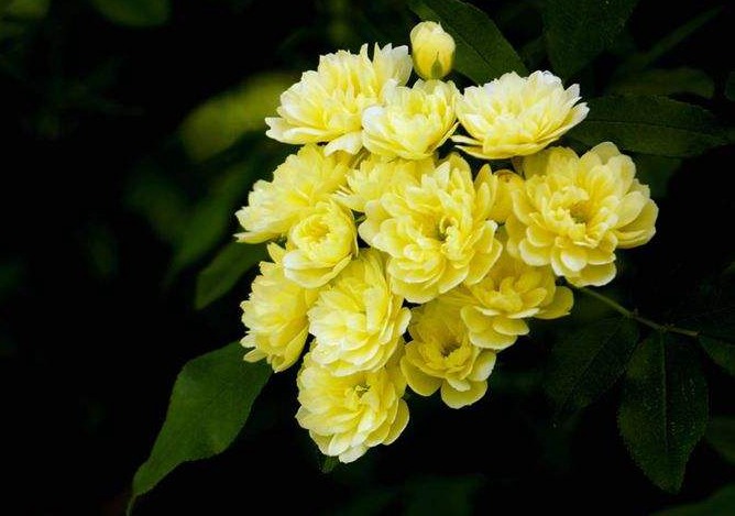 1cddcf394eb34758acdf7a92f73f06cd.jpg