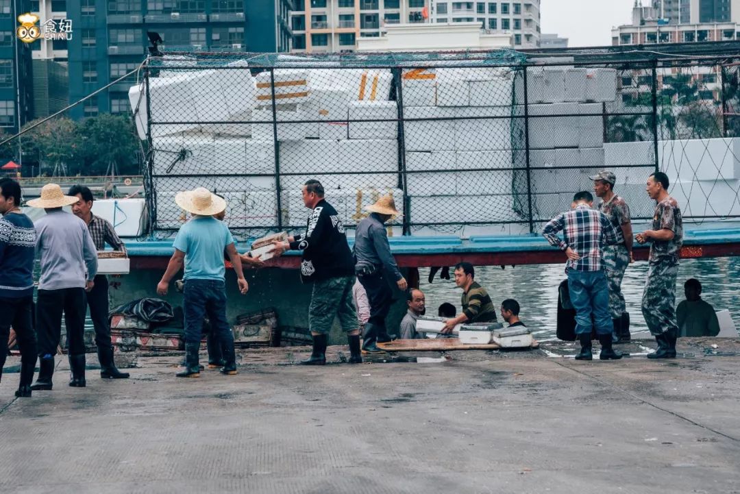 陪伴深圳百年渔人码头,和它告别的时间不多了