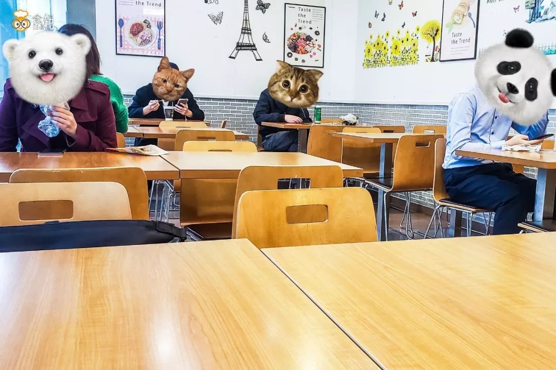 2019便利店指南丨全家哪些美味值得买?