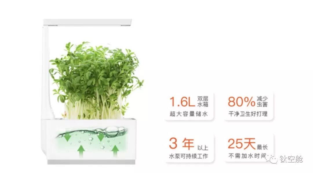 能当台灯，能养花，无土养殖智能养花机，开启养花新模式 | 钛空舱