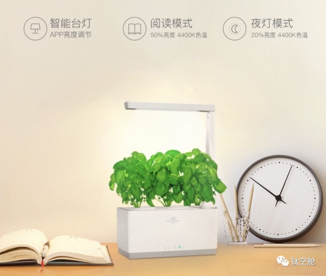 能当台灯，能养花，无土养殖智能养花机，开启养花新模式 | 钛空舱