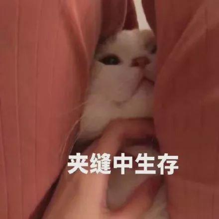 娱乐圈最好命女星居然被虐到突然狂哭不止？精神操纵法是下蛊术吗？