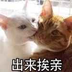 娱乐圈最好命女星居然被虐到突然狂哭不止？精神操纵法是下蛊术吗？