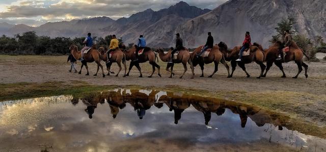 印控克什米尔的拉达克:看了你就知道它有多美