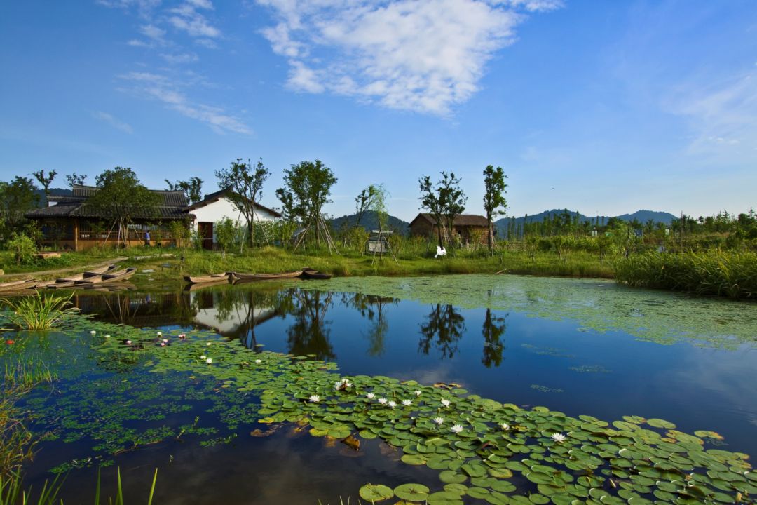 青浦问纯景点