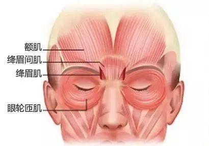 张嘉倪综艺再扮顺嫔，一对比发现电视剧的修图真是没话讲