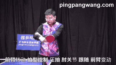 反手拨球像挖掘机铲土,肘关节并非完全固定,要这样去支承最合理