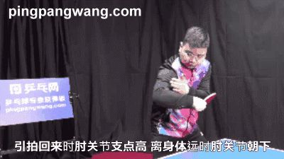 反手拨球像挖掘机铲土,肘关节并非完全固定,要这样去支承最合理