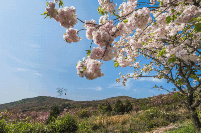 探山丨春暖花开,万物复苏,走近四明山丹山赤水