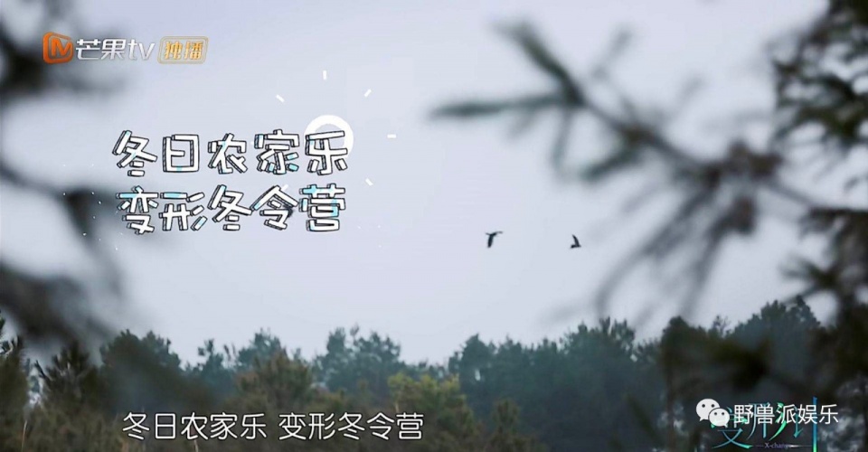 一个话痨，一个段子手，我发现了两个妙人儿…