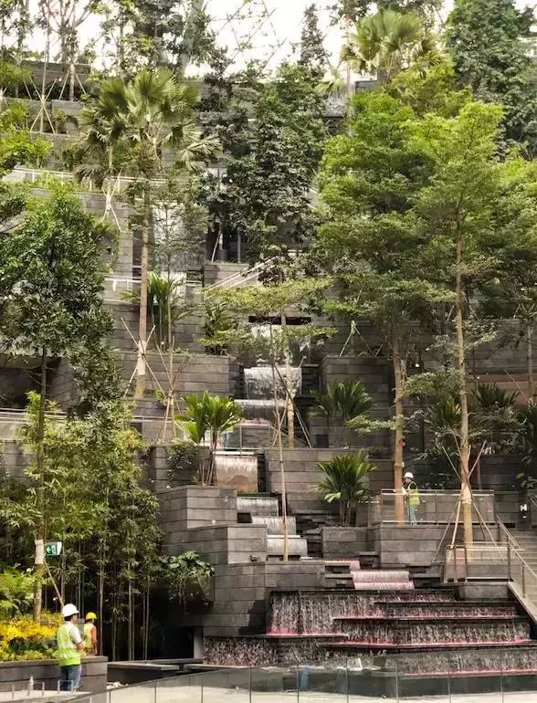 此外,除了室内瀑布,还有一个叫做"森林山谷"的景观,梯田式的结构,一共
