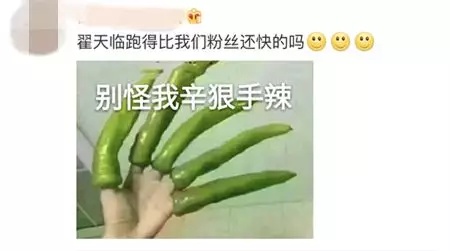 翟天临辛芷蕾恋情浮出水面？早有暧昧互动频繁，节目中三度同台