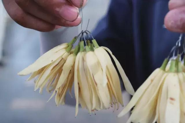 又见风清与月白