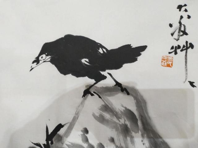 齐白石画虾、徐悲鸿画马,著名画家金大翁花十年时间画八哥