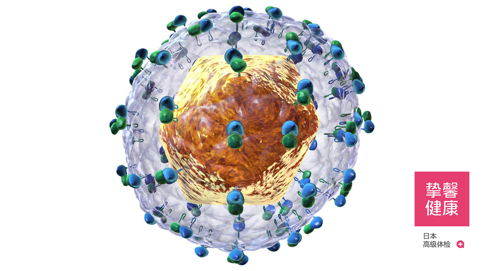 蓝色人体肝炎症状医学信息图表-欧莱凯设计网