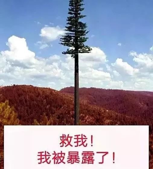 WiFi和4G到底哪个更耗电？