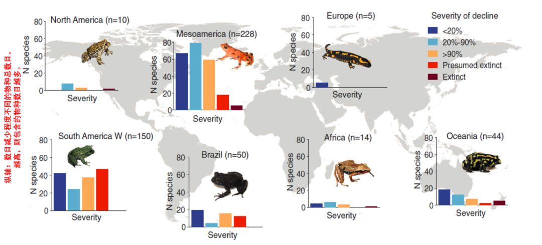 所发布的最新数据表明, 其对两栖动物造成的危害远远超出我们的想象