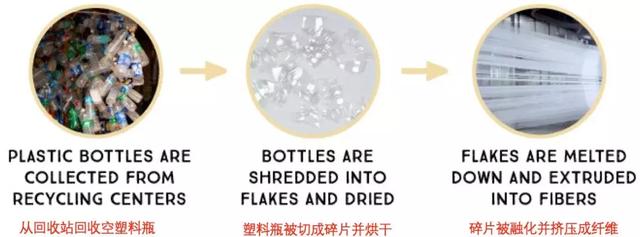 只要三杯咖啡，你就能变成行走的樟脑丸……