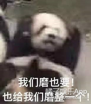一个由粉丝亲手推出的男团，他们的诞生也是奇迹吧！
