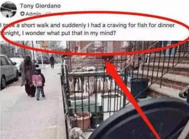 中国人在加拿大晒腊肉被邻居举报,网友支招让人笑疼肚子