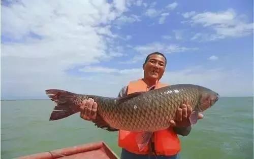 丝绸之路 | 库尔勒:500公里无人沙漠公路,你需要吃口香梨压压惊