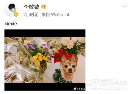 李敏镐发博感谢中国粉丝 朴有天中国粉丝站发声明