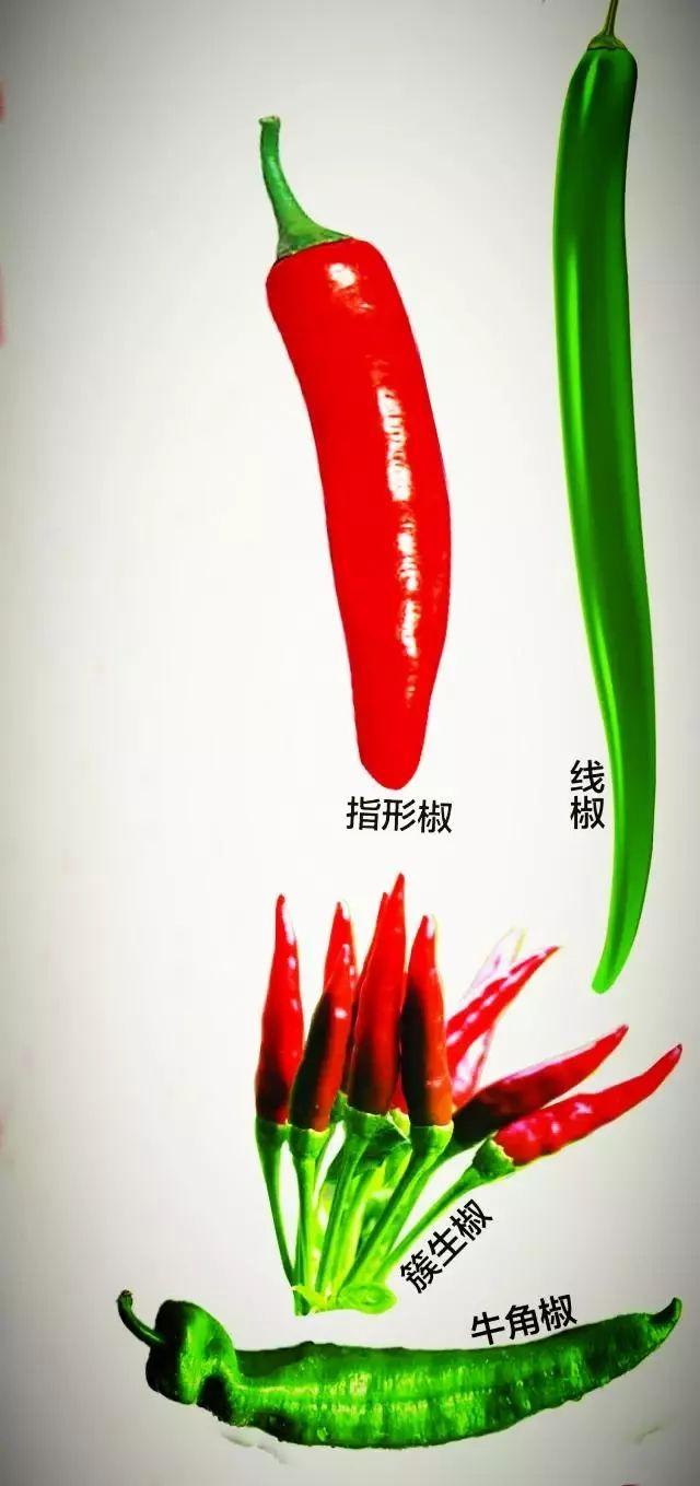 贵州这位大姐制作煳辣椒有20年,连手板心都有一股辛辣味道
