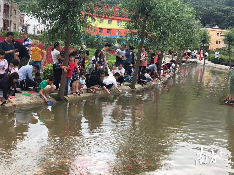 人流如织车流如梭，陆河南万正成为新的网红旅游目的地