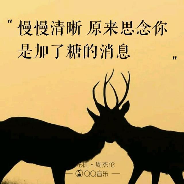 520“喜欢你”用周杰伦歌曲里的歌词怎么说?