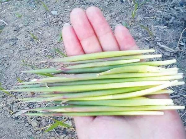 又一波回忆终成回忆“小霸王”就此别过!80后回忆盘点,说好不哭