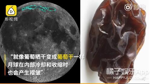 阿Sa自曝冻卵 大S新造型神似郭采洁