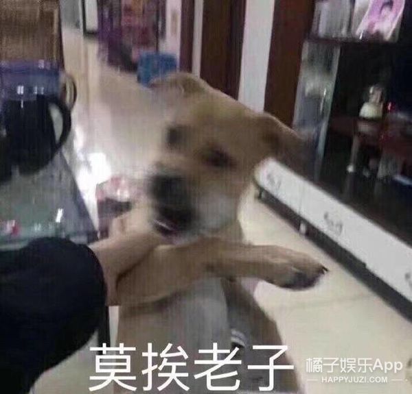 谈恋爱吗？离婚、自杀、变鬼再嫁给我的那种！