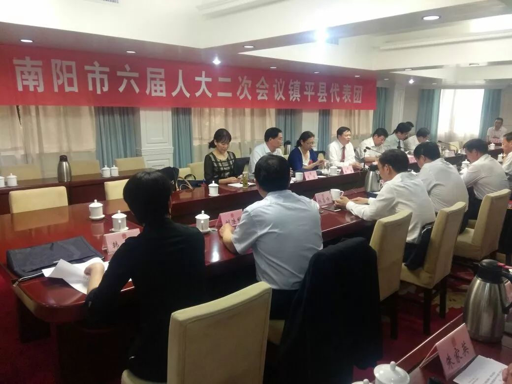 南阳市六届人大二次会议镇平团召开代表团会