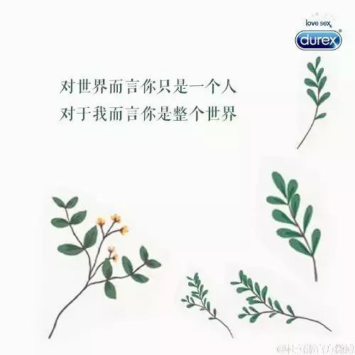 520营销文案,这10个案例值得关注