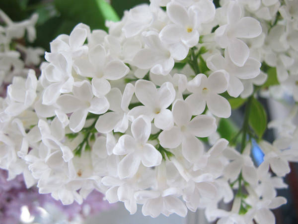 9d2e5dc6b3a2461fbbb2966a5f62f705.jpg 9d2e5dc6b3a2461fbbb2966a5f62f705.jpg