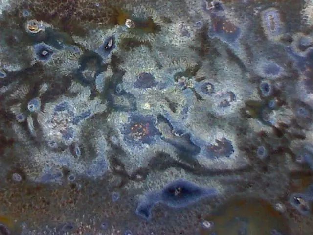 156、瓷器微观典型特征