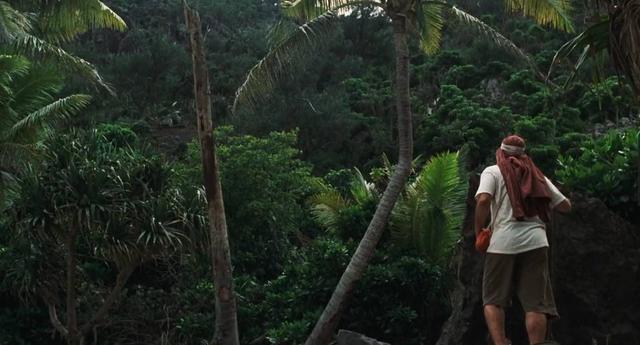 现代版的鲁滨逊漂流记,一个人流落荒岛,该如何生存