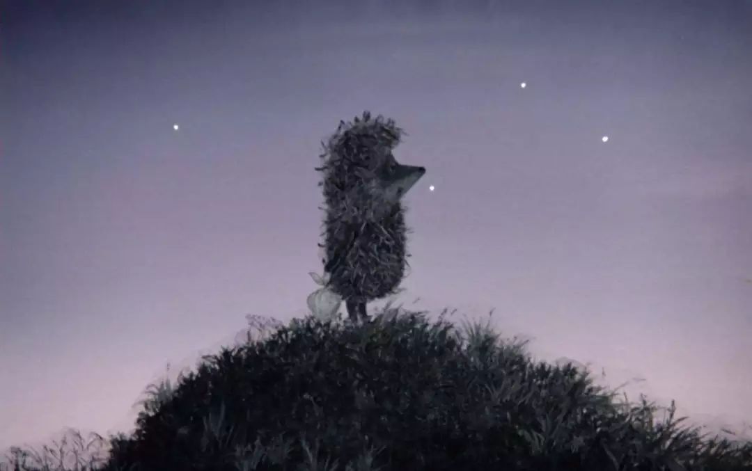 《和平精英》历险记