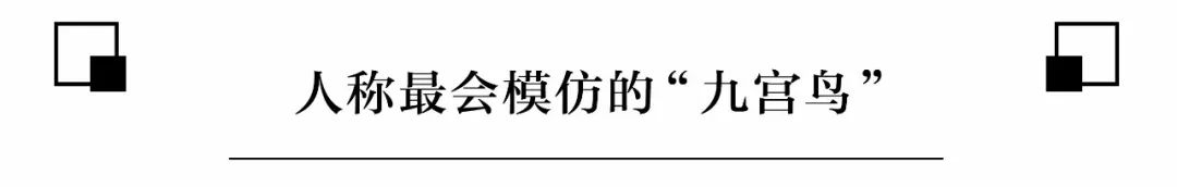 成都老中青三代 为什么爱好这么和谐？