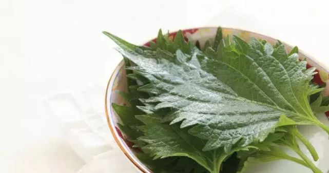 1000名留学生血泪控诉国外黑暗料理：你绝对想不到这些东西有多难吃！